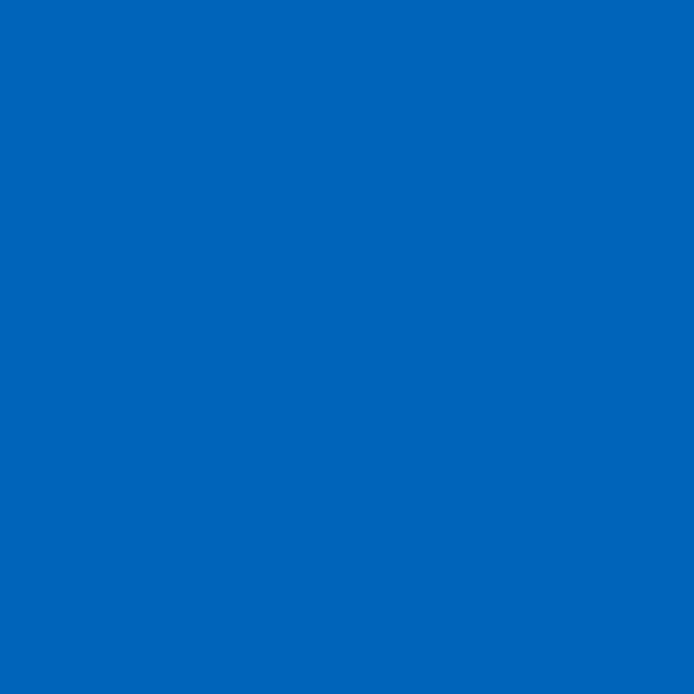 Transfer Termocolante Value Azul – Cricut – 30,5 x 6 metros – 01 Unid